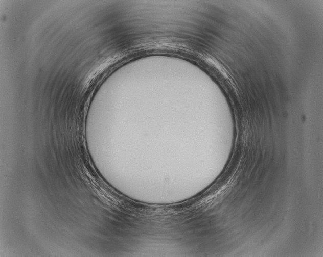 X0000087040922200705091107