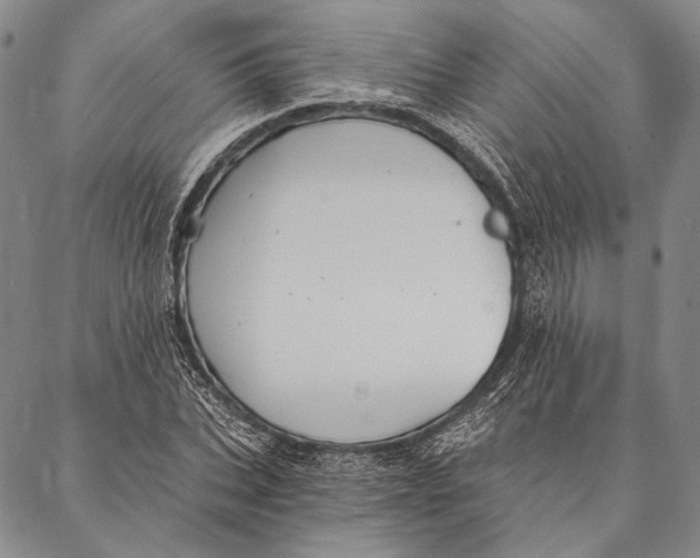 X0000087040927200705091107