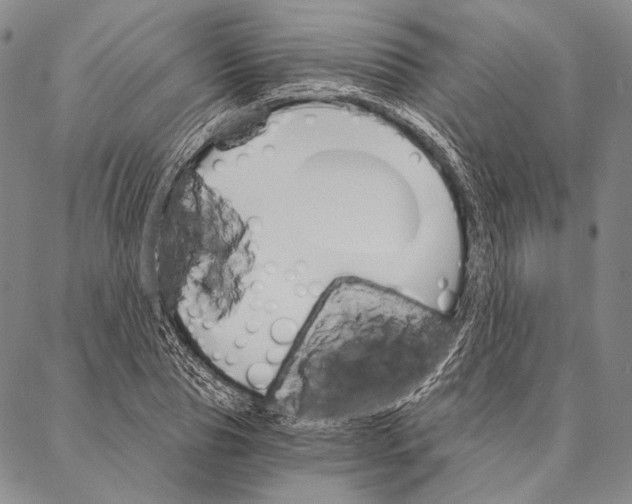 X0000087040929200705091107