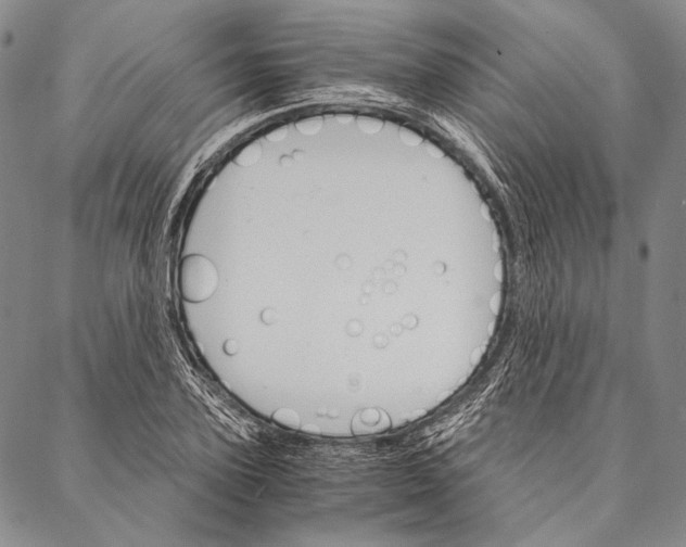 X0000087040931200705091107