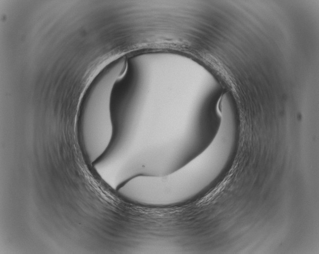 X0000087040932200705091107