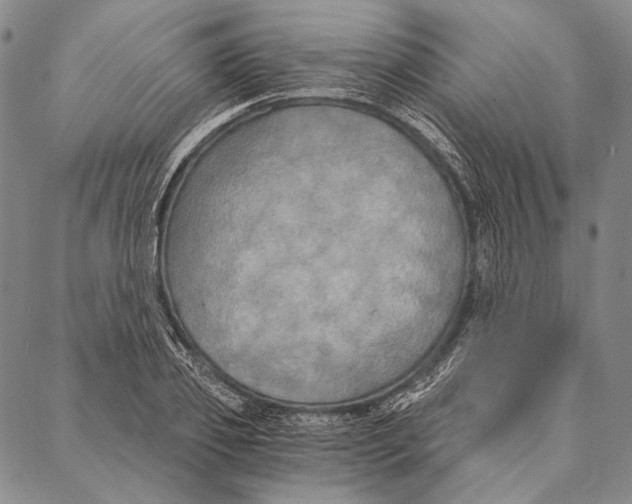 X0000087040933200705091107