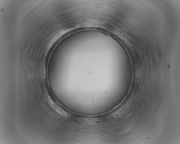 X0000087040934200705091107