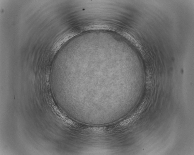 X0000087040937200705091107
