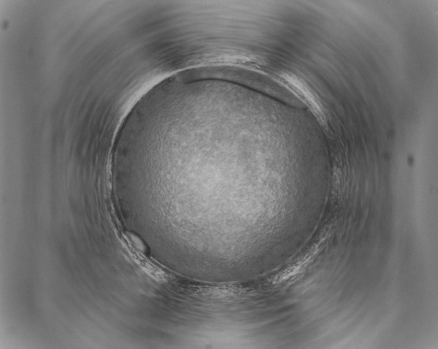 X0000087040948200705091107