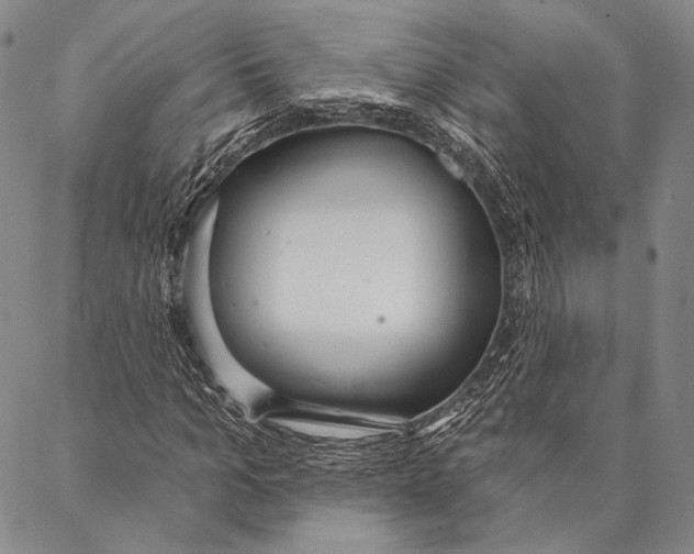 X0000087040965200705091107