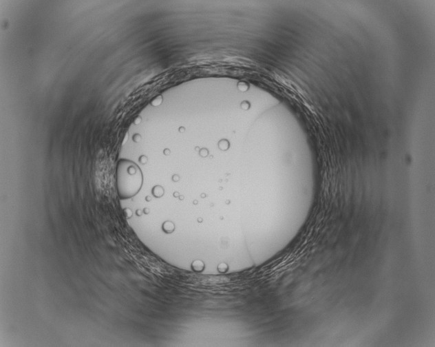X0000087040966200705091107