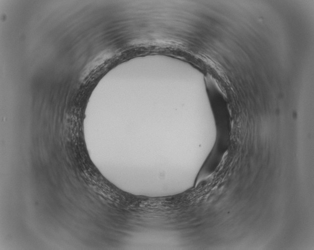 X0000087040967200705091107