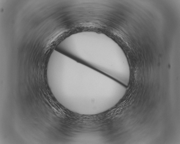 X0000087040968200705091107
