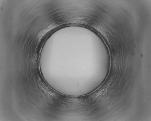 X0000087040971200705091107