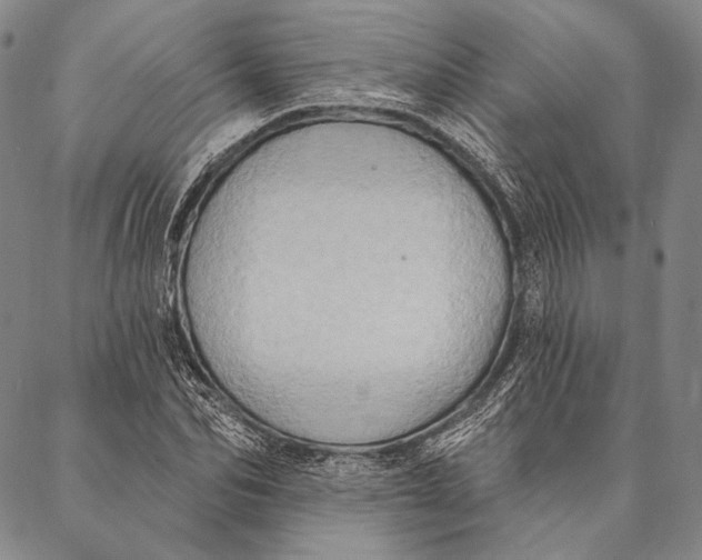 X0000087040974200705091106