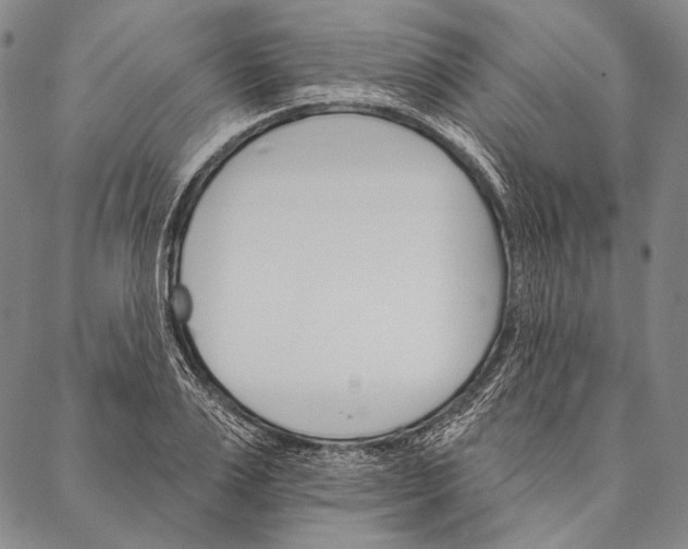 X0000087040983200705091106