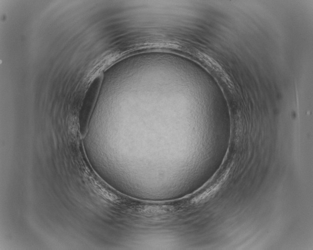 X0000087040985200705091106