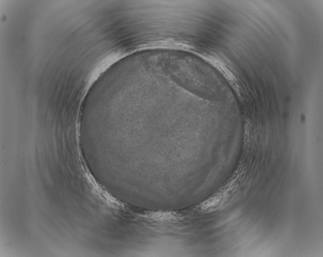 X0000087040998200705091106