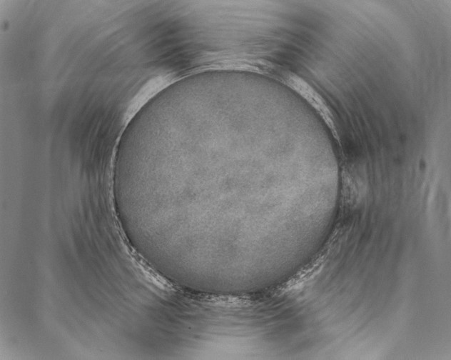 X0000087041002200705091106