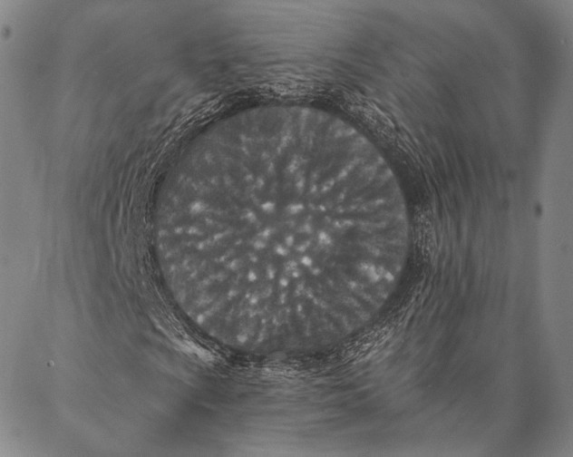 X0000087041009200705091105