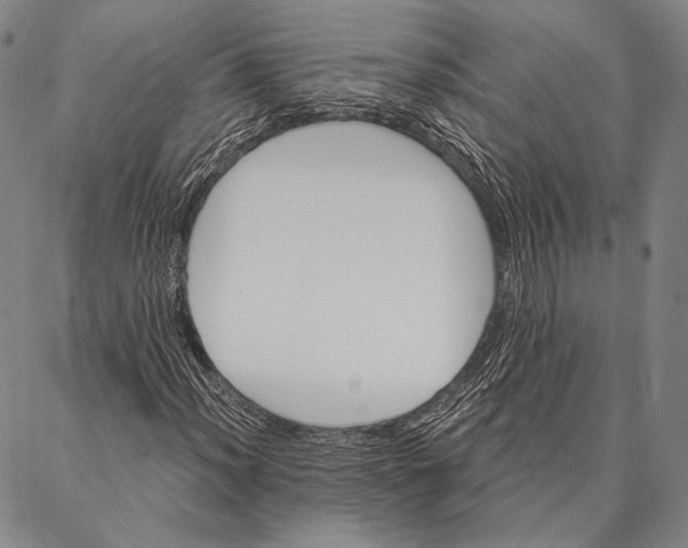 X0000087041012200705091105