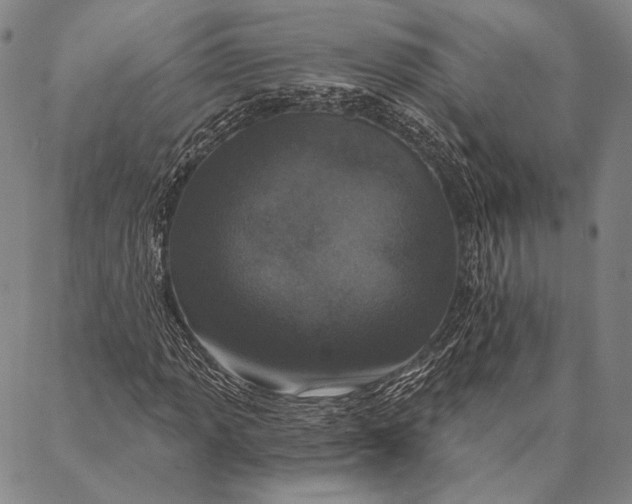 X0000087041013200705091105