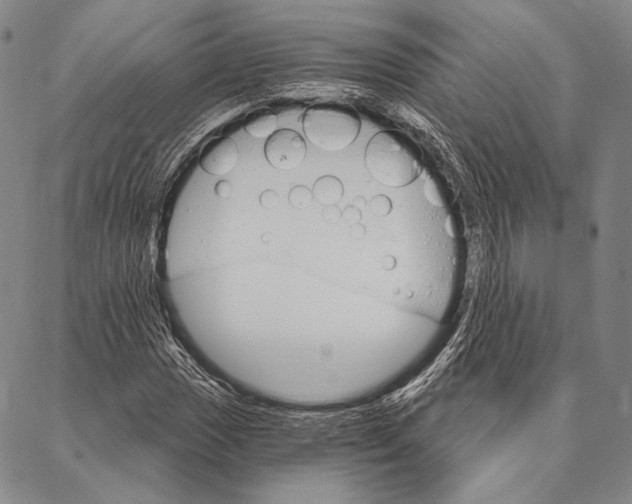 X0000087041017200705091105