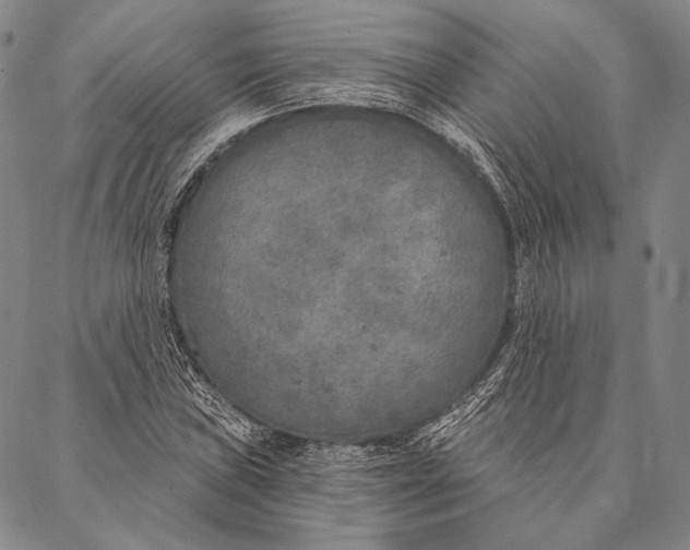 X0000087041019200705091105