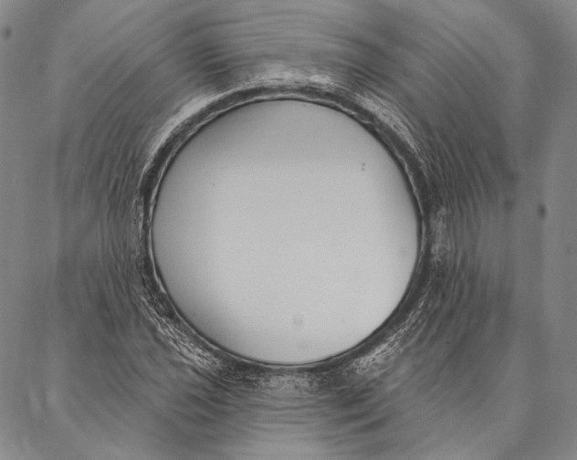 X0000087041021200705091105