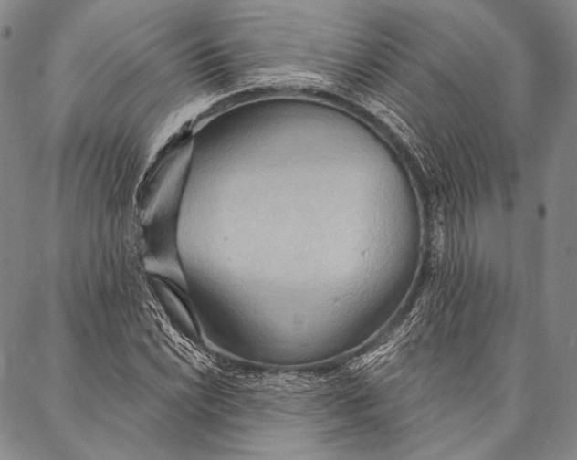 X0000087041022200705091105