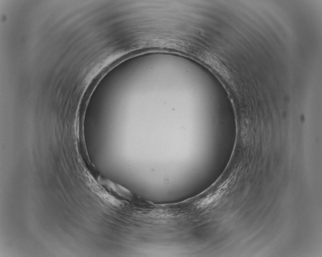 X0000087041028200705091105