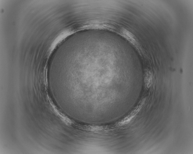 X0000087041030200705091105