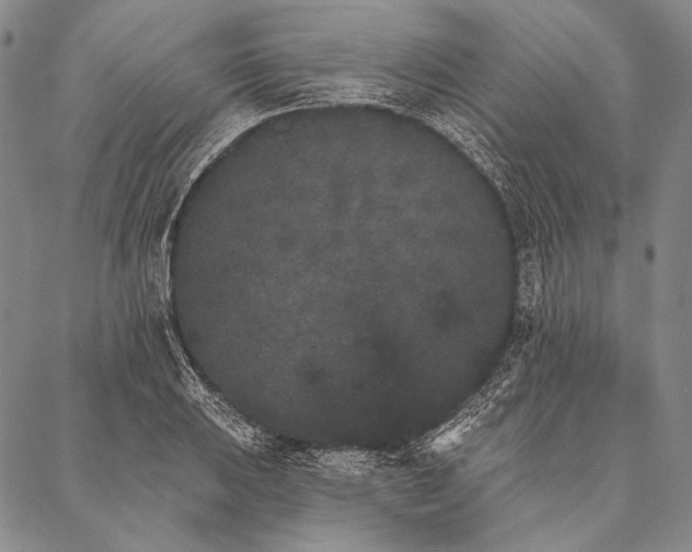 X0000087041031200705091106