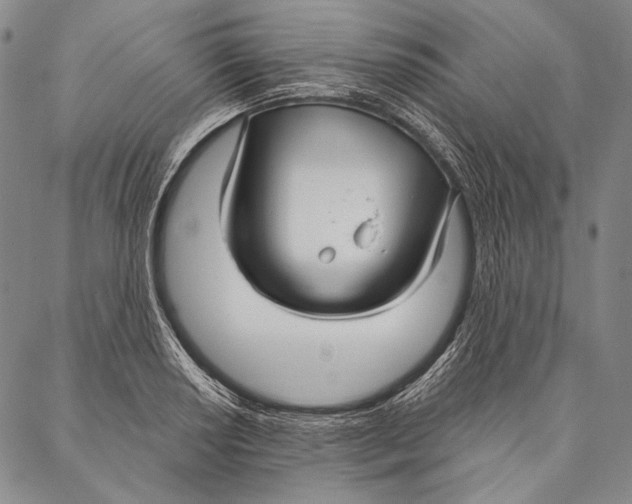X0000087041034200705091106
