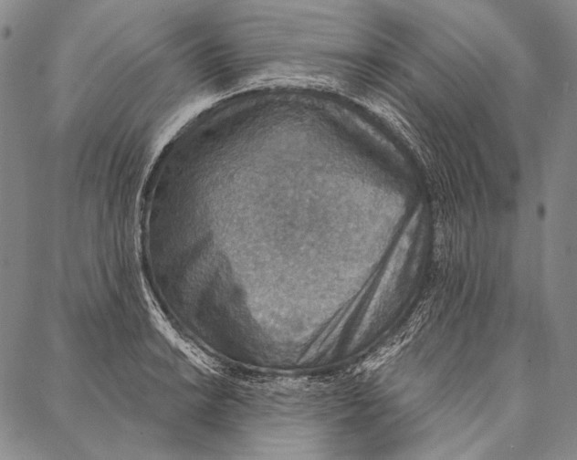 X0000087041038200705091106
