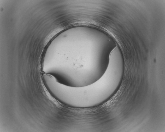 X0000087041042200705091106