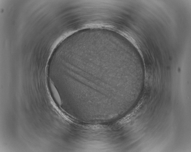 X0000087041045200705091106