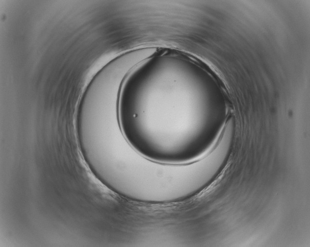 X0000087041054200705091106