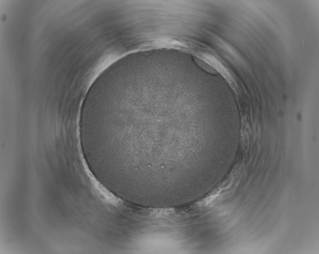 X0000087041055200705091106
