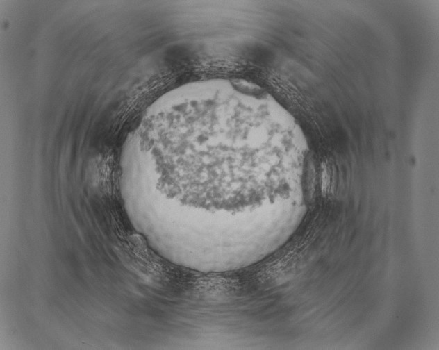 X0000087041059200705091105
