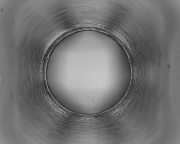 X0000087041068200705091105