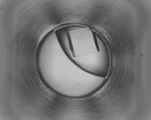 X0000087041069200705091105