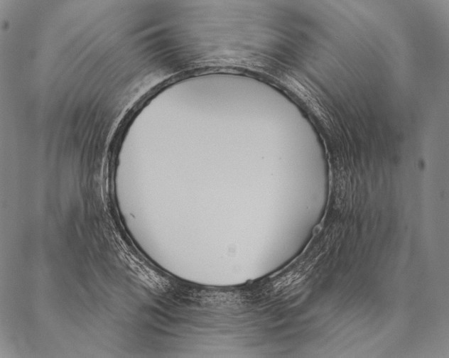 X0000087041076200705091105
