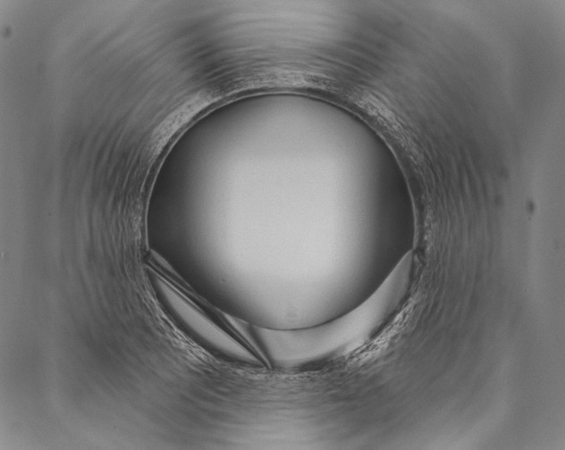 X0000087041081200705091105