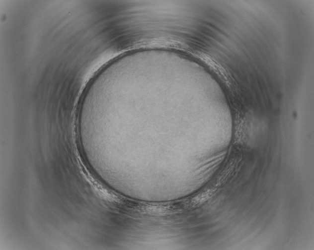 X0000087041086200705091105