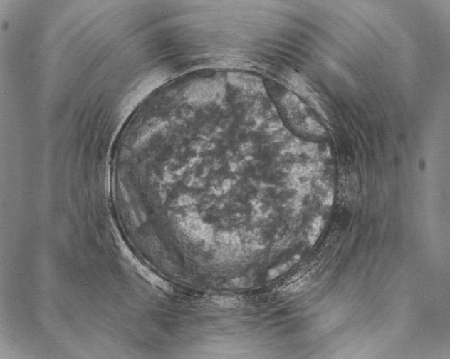 X0000087041095200705091105
