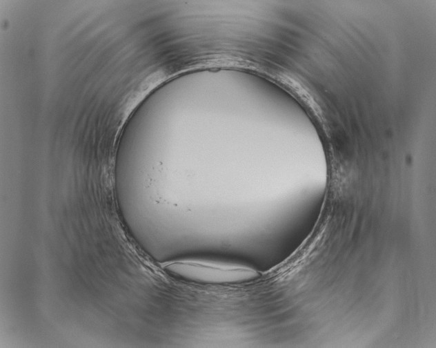X0000087041097200705091104