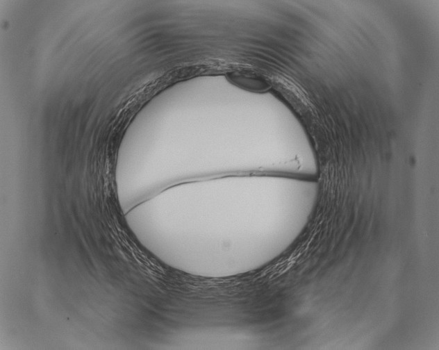 X0000087041111200705091104