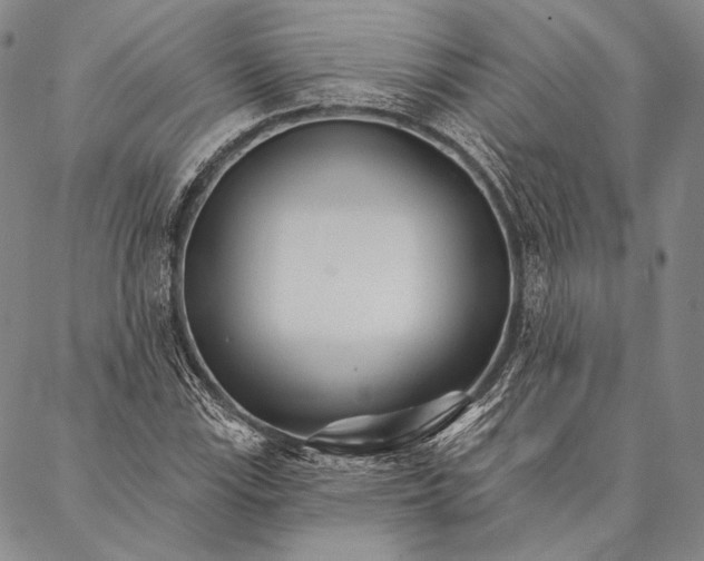 X0000087041115200705091104