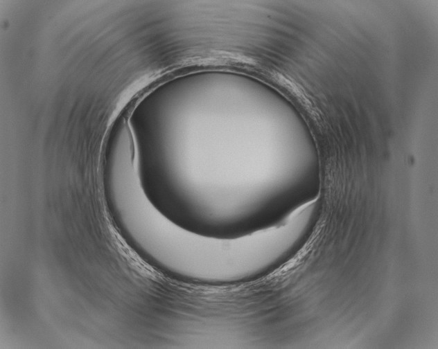 X0000087041122200705091104