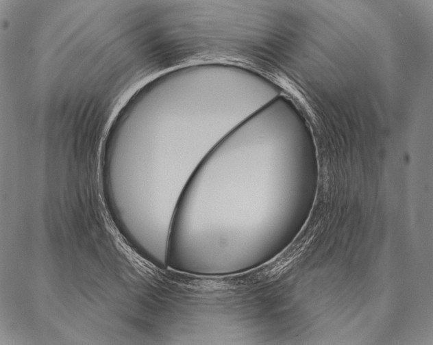 X0000087041124200705091104