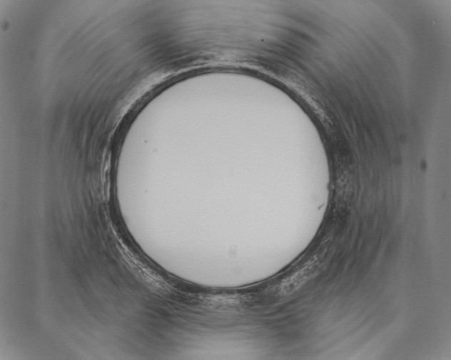X0000087041126200705091104