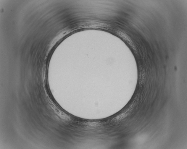 X0000087041130200705091104