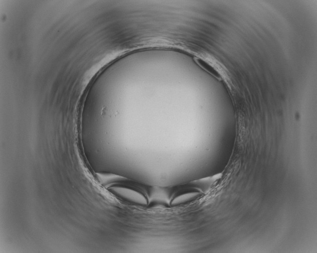 X0000087041142200705091104